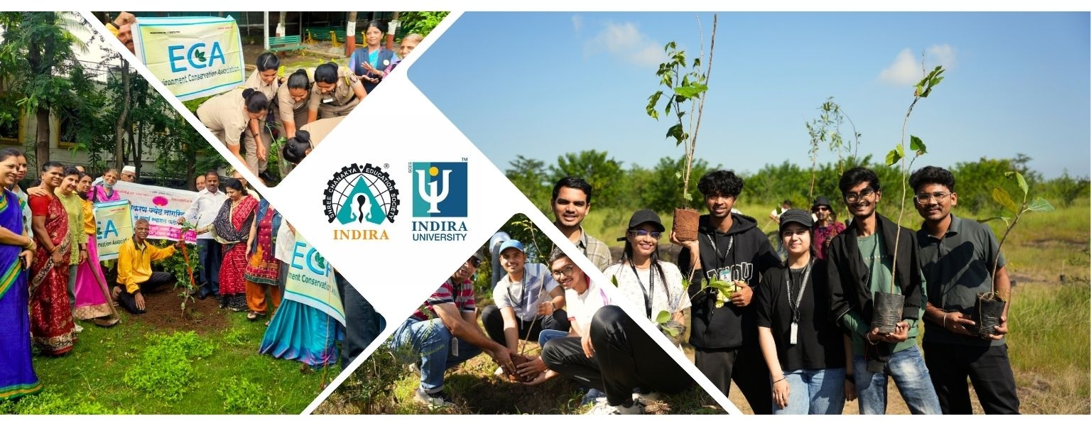 about us banner